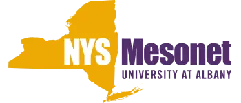 NYState Mesonet Logo